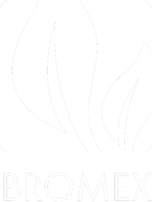 bromex_logo_białe bromex_logo_białe
